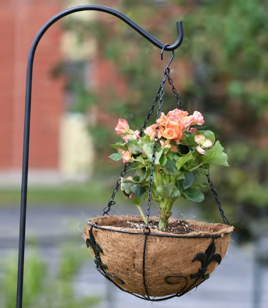 Hanging Baskets